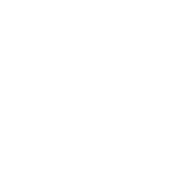 Tanqueray Gin