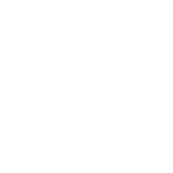 Don Julio Tequila