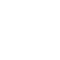 Tanqueray Gin