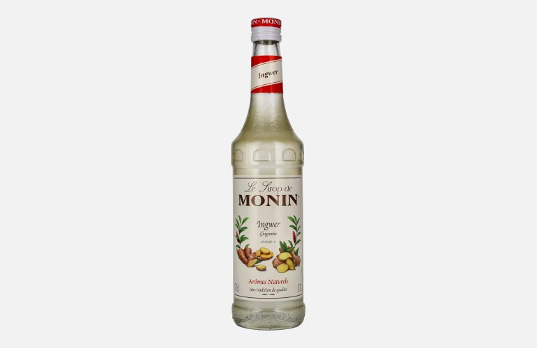 Le Sirop de Monin INGWER 0,7l