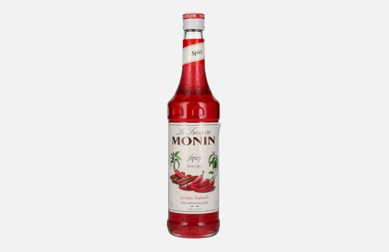 Le Sirop de Monin SPICY 0,7l