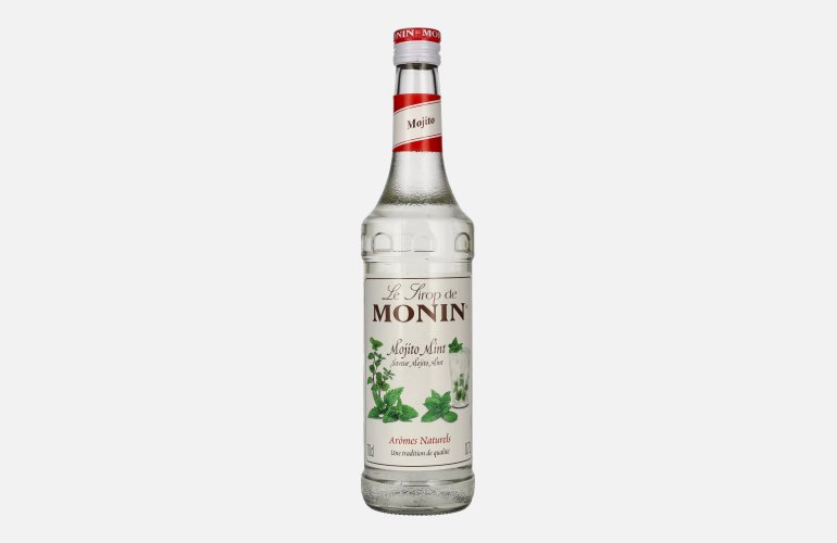 Le Sirop de Monin MOJITO MINZE 0,7l