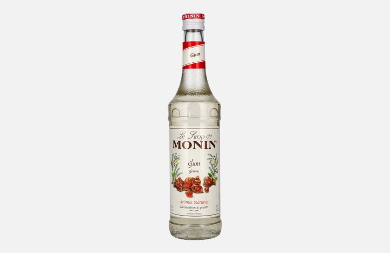 Le Sirop de Monin GOMME 0,7l