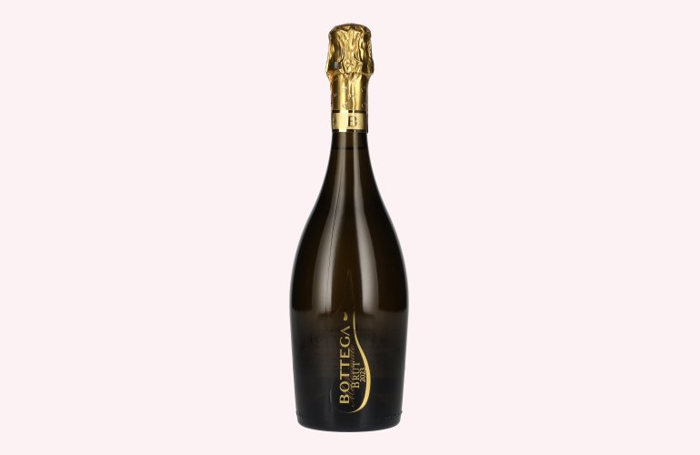 Bottega MILLESIMATO Spumante Brut 2023 11% Vol. 0,75l