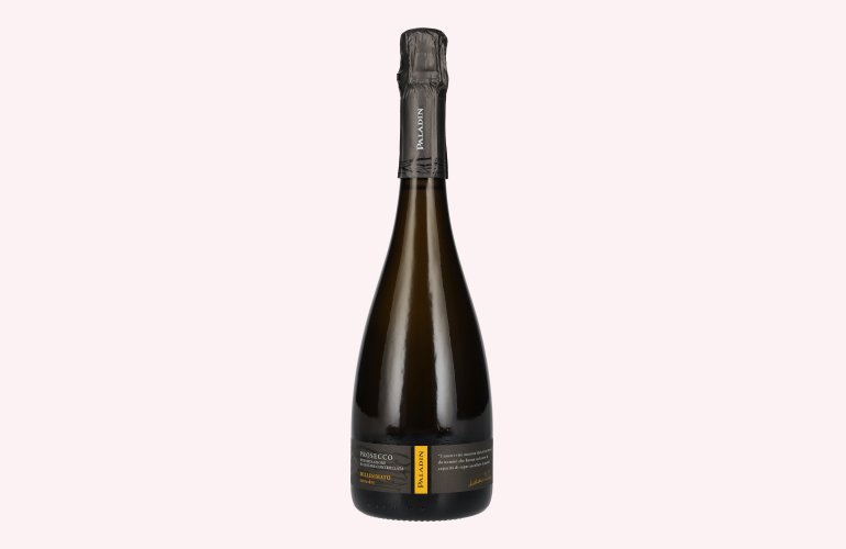 Paladin Prosecco Millesimato Extra Dry DOC 2023 11% Vol. 0,75l