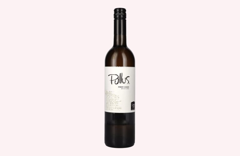 Pullus Pinot Grigio DRY 2021 13,5% Vol. 0,75l