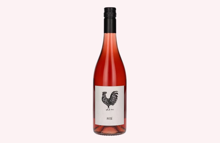 Franz Hahn Rosé 2019 11% Vol. 0,75l