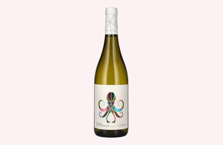 IL POLPO Pinot Grigio Colline Pescaresi IGP 12,5% Vol. 0,75l